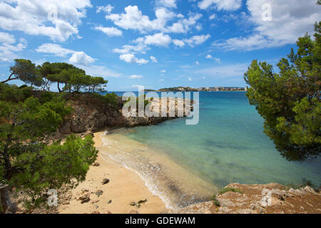 Punta Negra, Palma Nova, Costa d ' en Blanes, Mallorca, Balearen, Spanien Stockfoto