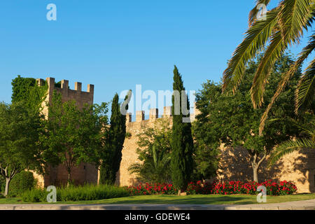 Old City Wall, Alcudia, Mallorca, Balearen, Spanien Stockfoto