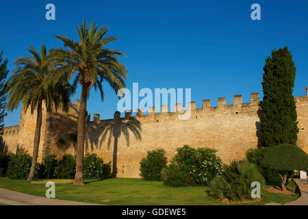 Old City Wall, Alcudia, Mallorca, Balearen, Spanien Stockfoto