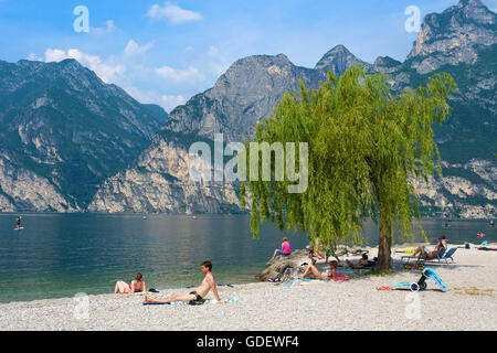 Strand, Torbole, Gardasee, Lombardei, Italien / Lago di Garda Stockfoto