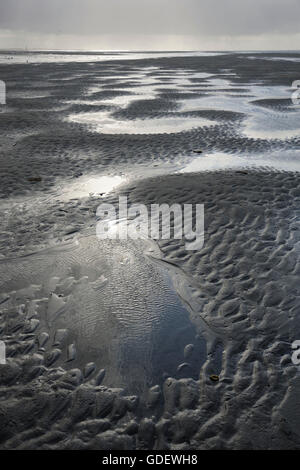 TITAL Wohnungen, Ebbe, Schleswig-Holstein Nationalpark Wattenmeer, Nordfriesland, Schleswig-Holstein, Deutschland / Schlamm Wohnungen Stockfoto