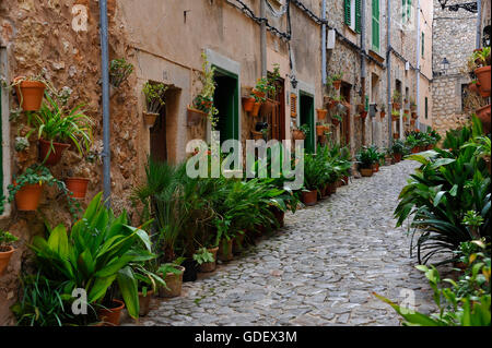 Lane, Valldemossa, Mallorca, Spanien / Valldemosa Stockfoto