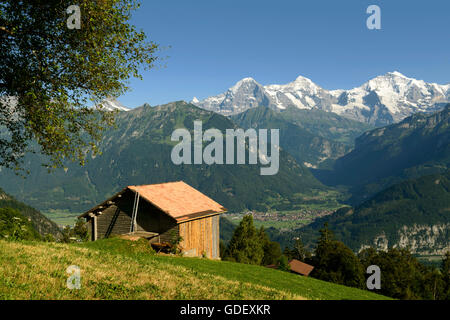 Eiger, Mönch, Jungfrau, Schweizer Berge Stockfoto