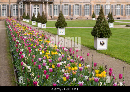 Hofgarten, Neues Schloss, Bayreuth, Bayern, Deutschland, New Castle Stockfoto