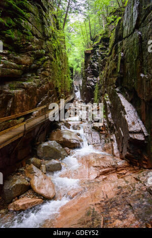 Franconia Notch State Park Stockfoto