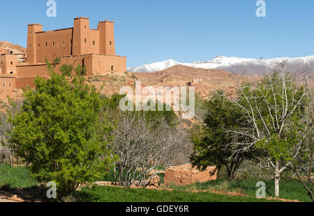 Marokko, Afrika, Kasbah Ait Youli, Dades Tal, Tal der Kasbah, hoher Atlas Berg Stockfoto