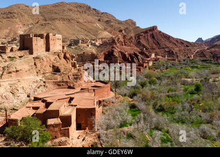 Marokko, Afrika, Dades Tal, Tal der Kasbah, hohe Atlasgebirge, Ait Ibrirne Stockfoto