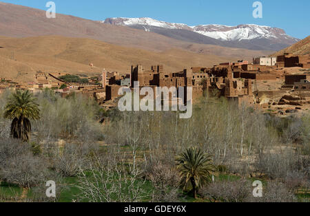 Marokko, Afrika, Dades Tal, Tal der Kasbah, hohe Atlasgebirge, Ait Arbi Stockfoto