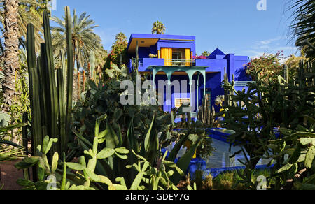 Marokko, Afrika, Botanischer Garten Jardin Majorelle Marrakech Stockfoto
