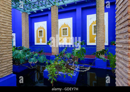 Marokko, Afrika, Botanischer Garten Jardin Majorelle Marrakech Stockfoto