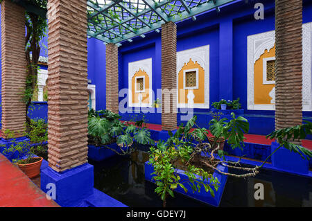 Marokko, Afrika, Botanischer Garten Jardin Majorelle Marrakech Stockfoto