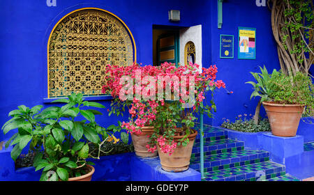 Marokko, Afrika, Botanischer Garten Jardin Majorelle Marrakech Stockfoto