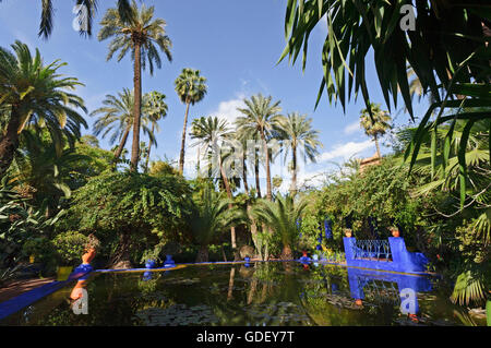 Marokko, Afrika, Botanischer Garten Jardin Majorelle Marrakech Stockfoto