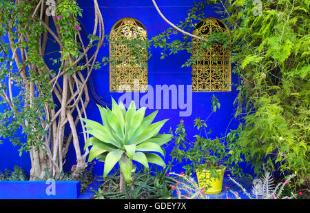 Marokko, Afrika, Botanischer Garten Jardin Majorelle Marrakech Stockfoto