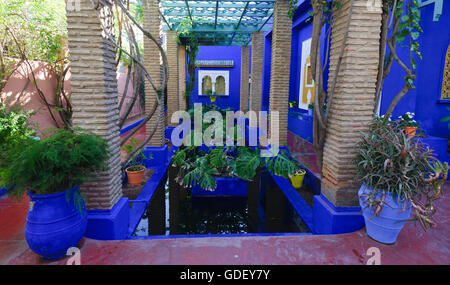 Marokko, Afrika, Botanischer Garten Jardin Majorelle Marrakech Stockfoto