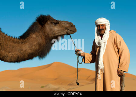 Marokko, Afrika, Kamele, Wüste Erg Chebbi, Dünen, Stockfoto