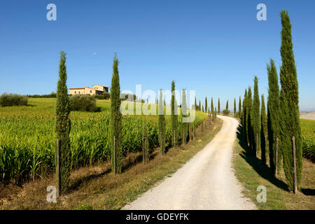 Europa, Italien, Toskana, Val d ' Orcia, September 2013, UNESCO, Stockfoto