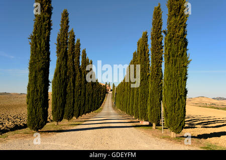 Europa, Italien, Toskana, Val d ' Orcia, September 2013, UNESCO, Stockfoto