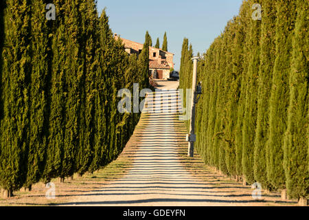 Europa, Italien, Toskana, Val d ' Orcia, September 2013, UNESCO, Stockfoto