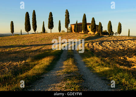 Europa, Italien, Toskana, Val d ' Orcia, September 2013, UNESCO, Stockfoto