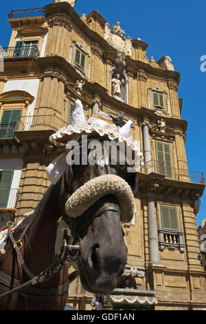 Pferd und Wagen in Palermo, Sizilien, Italien Stockfoto