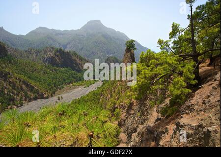 Parque Nacional De La Caldera de Taburiente, La Palma, Kanaren, Spanien Stockfoto