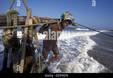 Fischer an der Küste des Nagombo an der Westküste von Sri Lanka in Asien. Stockfoto