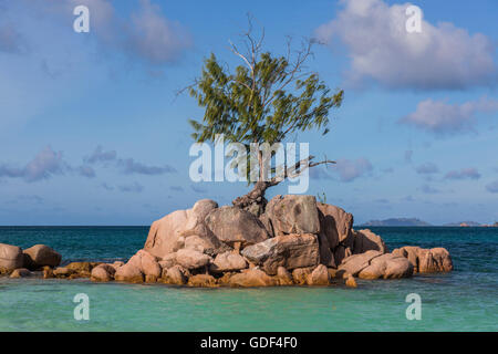 Granitfelsen, Anse Boudin, Praslin, Seychellen Stockfoto