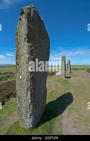 Ring of Brodgar Standing Stones, strenge. Festland-Orkney-Inseln.  SCO 10.718. Stockfoto