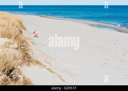 Schöner Sandstrand mit Trockenrasen und einen Rettungsring. Kleine Wellen schlagen die Küstenlinie. Horizont über Wasser und Kopie Speicherplatz auf Sand. Stockfoto