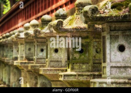 Steinlaternen außerhalb der Futarasan Shinto Schrein in Nikko, Japan. Stockfoto