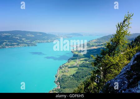 Steinbach am Attersee: Blick vom Schoberstein, Attersee, Österreich, Oberösterreich, Oberösterreich, Salzkammergut Berg Stockfoto