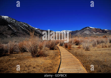 Spazierweg durch Bürste mit Bergen im Hintergrund Stockfoto