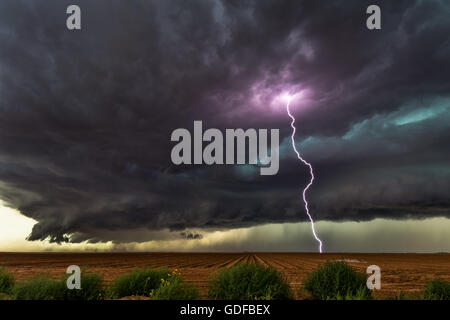 Dunkle Sturmwolken und Blitze von einem Gewitter über einem Feld in der Nähe von Ackerly, Texas Stockfoto