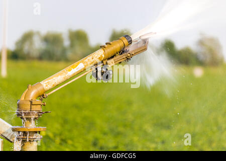 Details der Sprinkleranlage bewässern Felder, insbesondere die Zeit, die der Wasserstrahl trifft die Feder Hebel Stockfoto