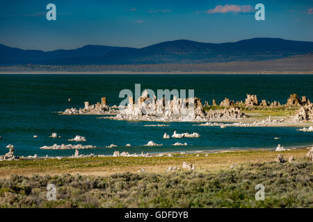 Windiger Tag Mono Lake South Tufa Weitwinkel Stockfoto