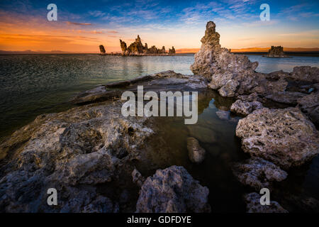 Tuffstein Türme Calciumcarbonat Turmspitzen Inyo Wald Mono Lake Kalifornien, USA Stockfoto