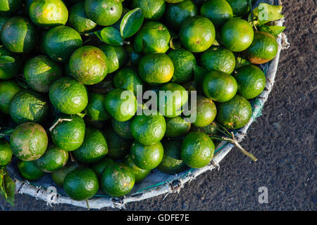 Korb mit frischen Limetten auf dem Straßenmarkt, Vietnam Stockfoto