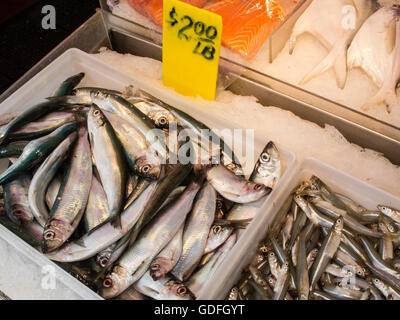 Frischer Fisch-Display für 2,00 $ pro Pfund, Chinatown, NYC, USA Stockfoto
