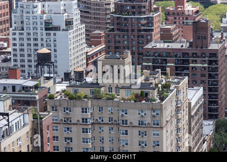 Dachgärten in Murray Hill, New York Stockfoto