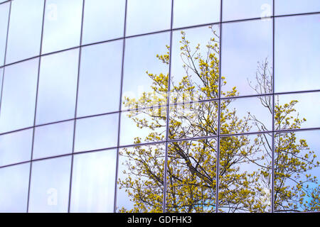 Grüne Bäume spiegeln sich in einem Geschäftshaus windows Stockfoto