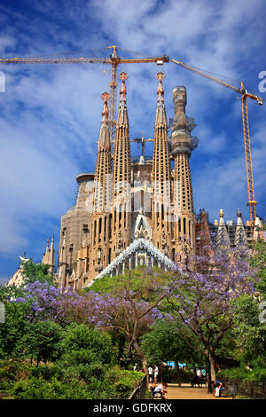 Die Sagrada Familia, dem Meisterwerk des Architekten Antoni Gaudí und "Markenzeichen" von Barcelona, Katalonien, Spanien. Stockfoto