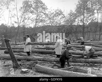 ERSTEN Weltkrieg rekrutiert, die Damen Holz Service messen, schneiden und verladen Kiefernstämmen.  Die meisten von ihnen tragen Alltagskleidung im Gegensatz zu den Service-Problem Uniformen getragen von den Supervisor bei ganz links. Foto: Ministry of Supply Stockfoto