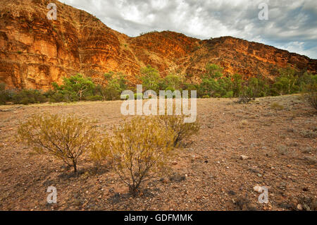 Dämmerung auf Echo Bend Vulkathunha-Gammon-Ranges-Nationalpark. Stockfoto