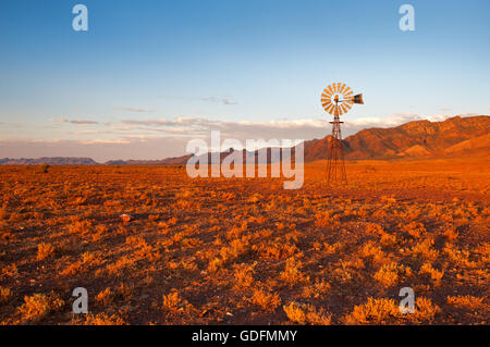 Typisch australisch - Windmühle im roten Farbton eines Sonnenuntergangs. Stockfoto
