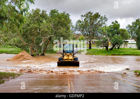 Radlader, Reinigung einer Straße in Alice Springs nach einer Überschwemmung Todd River. Stockfoto