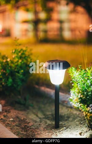 Dekorative kleine Solar Garten Licht, Laternen im Blumenbeet im grünen Laub. Garten-Design. Solar betriebene Lampe Stockfoto