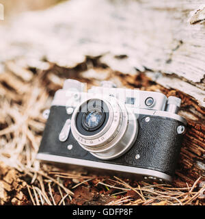 35mm Vintage alte Retro kleinformatigen Messsucherkamera auf alten gefallenen Holz Baum im Wald. Stockfoto