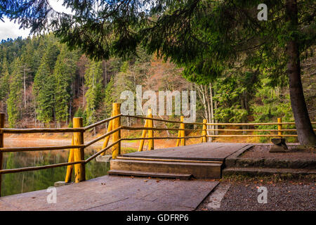 Pier auf dem See in den Bergen in der Nähe von Nadelwald Stockfoto