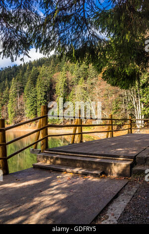 Pier auf dem See in den Bergen in der Nähe von Nadelwald Stockfoto